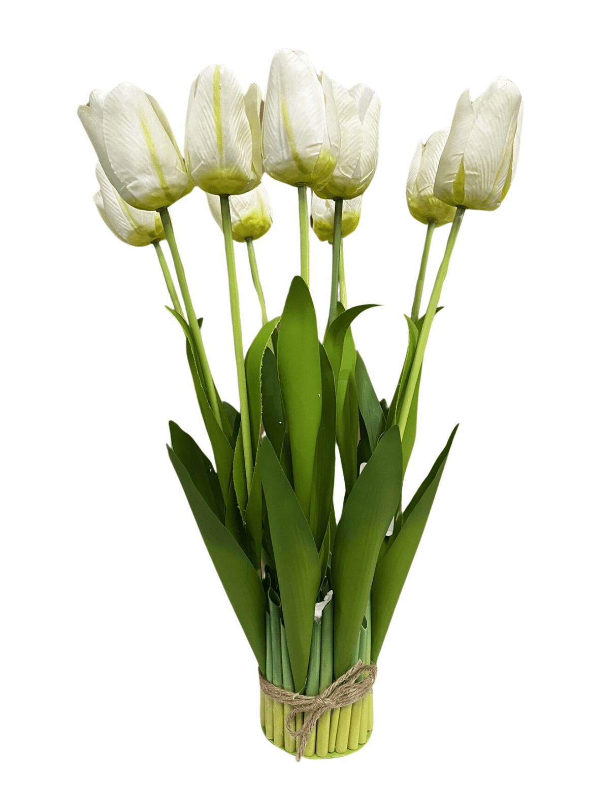 Tulipan buket DP3275