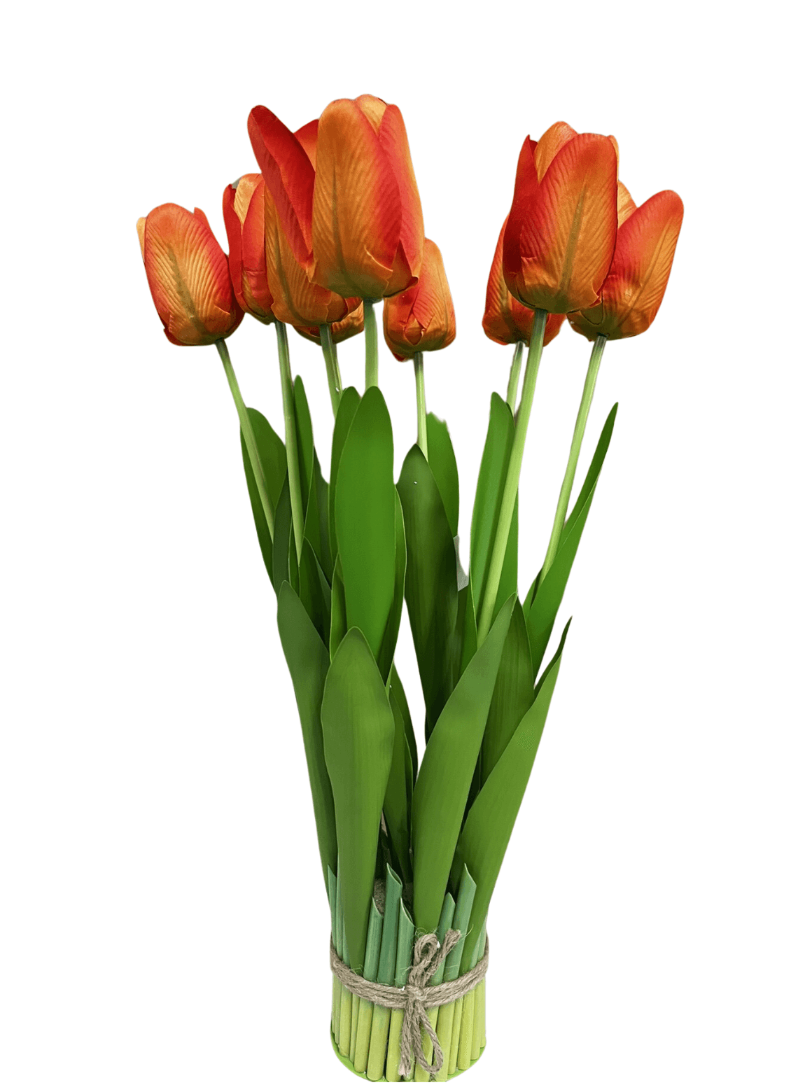 tulipan-buket-dp3275-32120_1920x1920