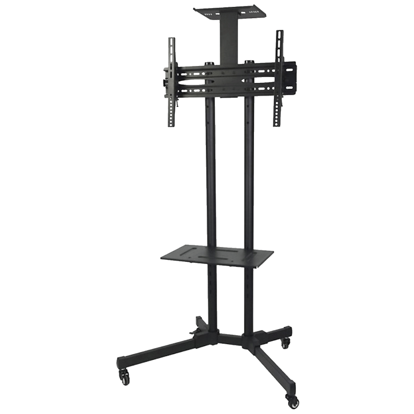 33165_1701702414ymtmpr687y