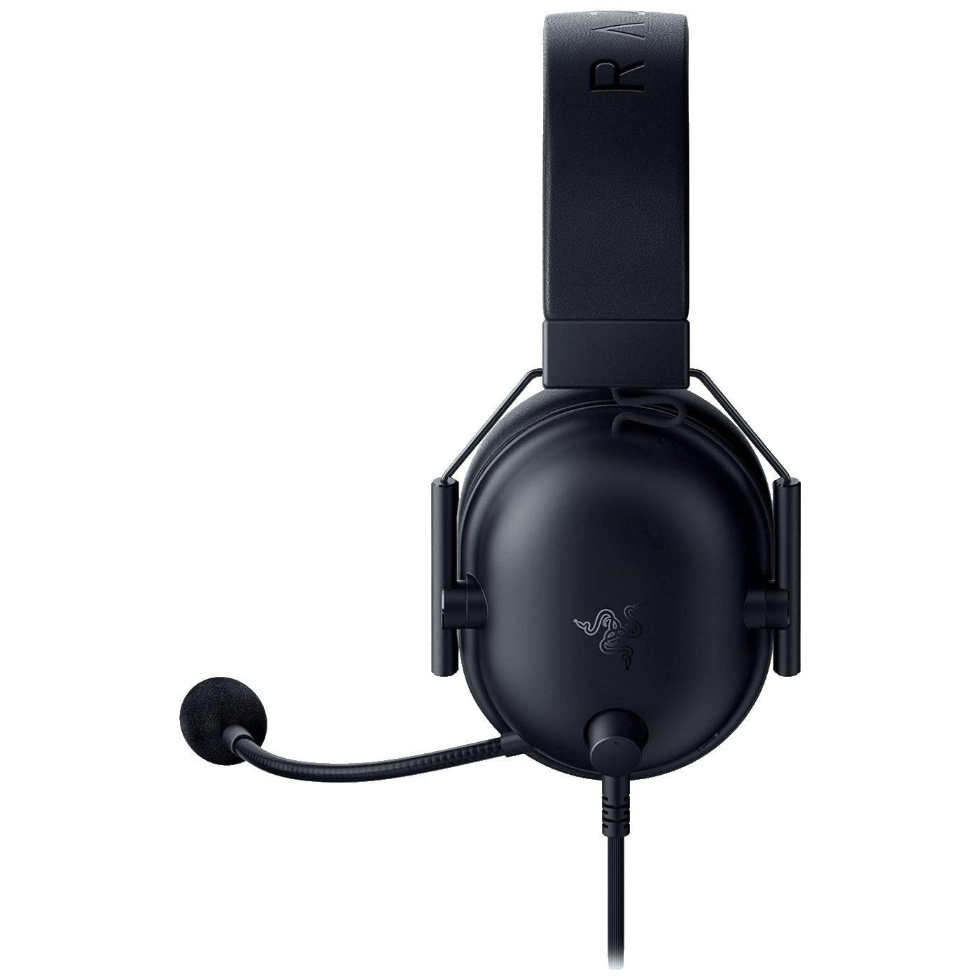 54641_1743026573gv6u10k2la