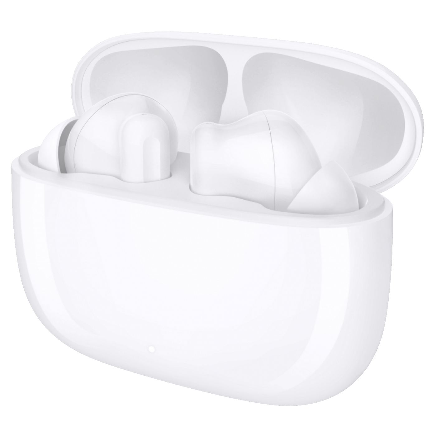 59087_1739871186786upupnoy