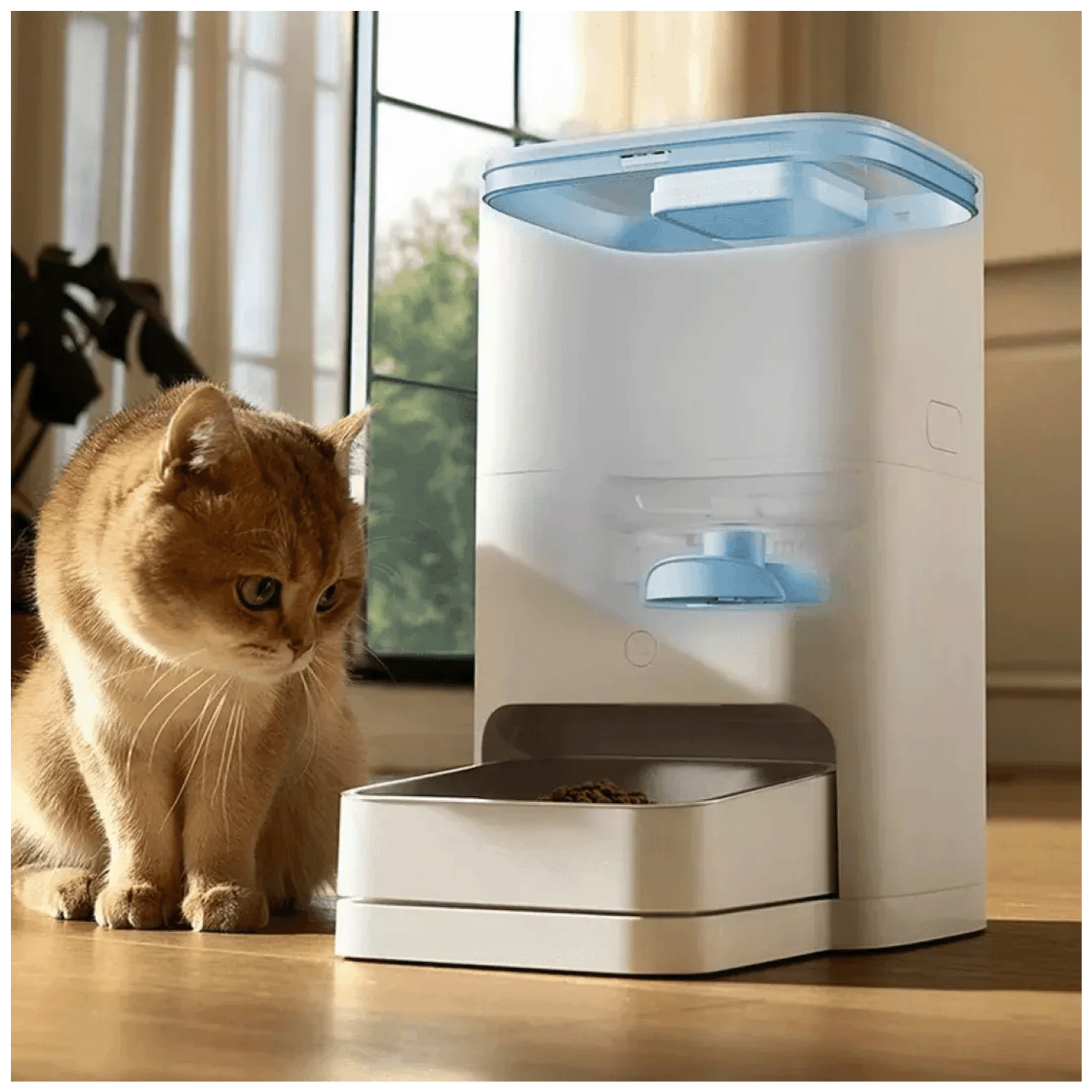 694df1e3320b21b1bad587ac