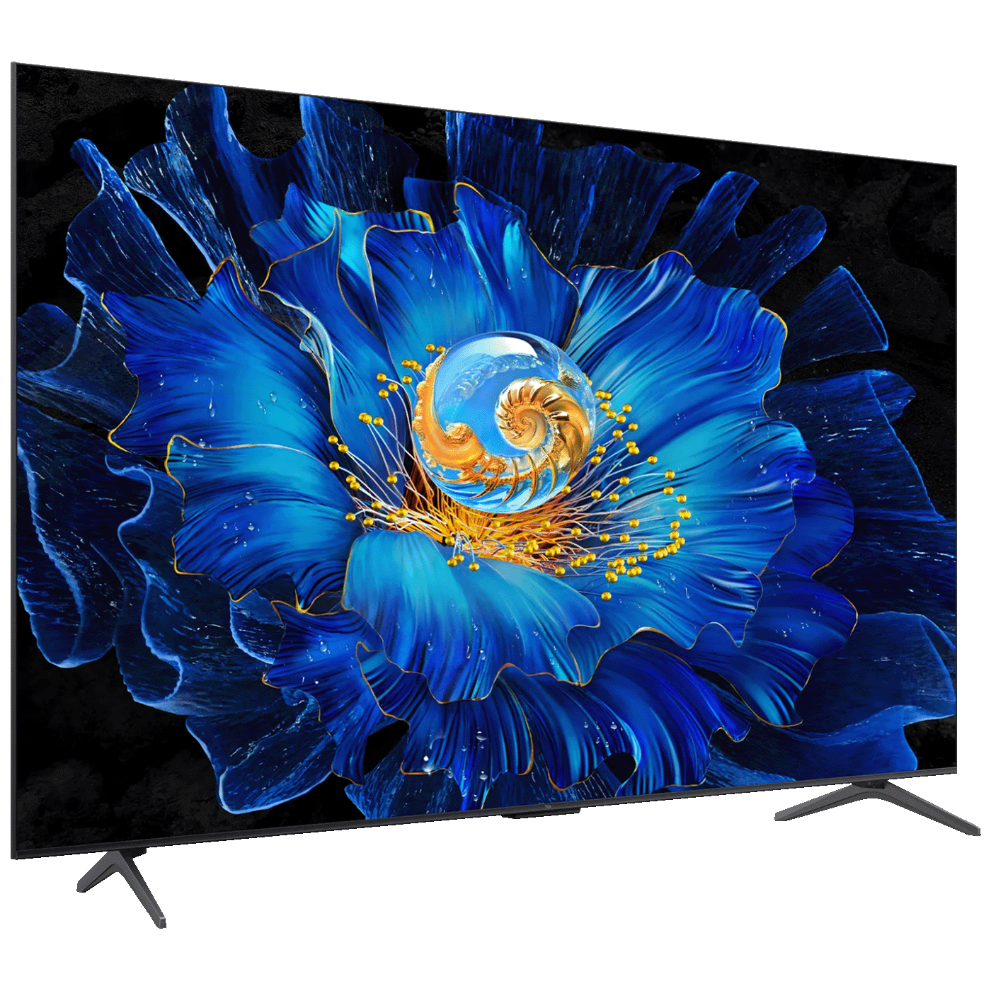 66854_1772183019azbyb91u0n