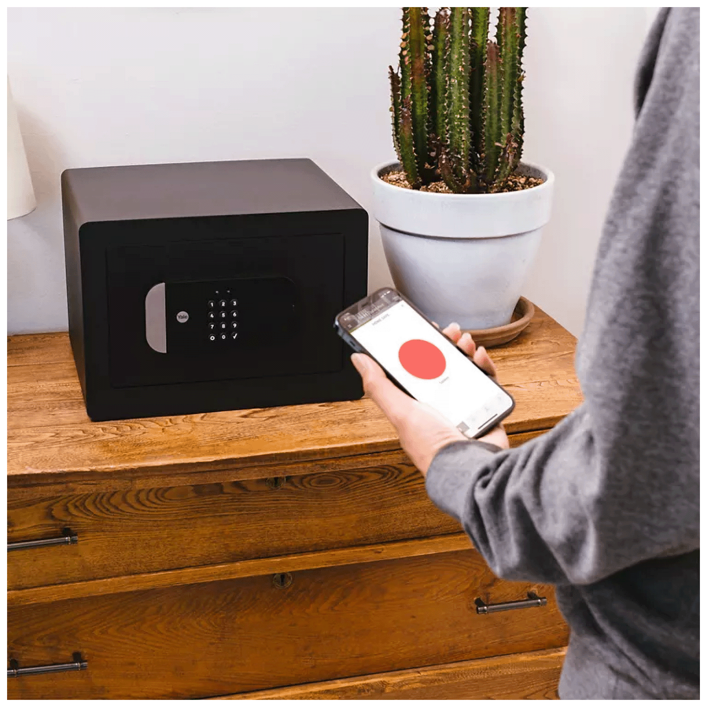 75317_1773306519l5j40lamin