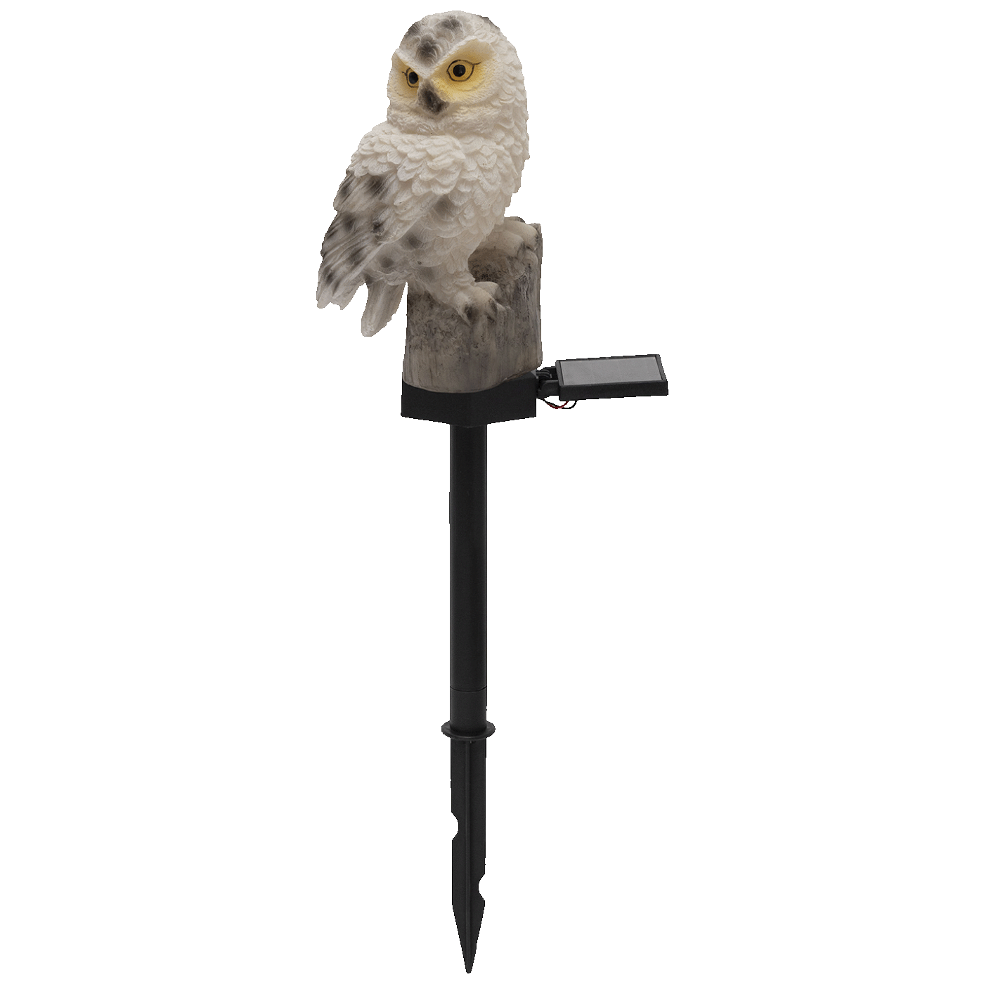 75975_1773828460orax868hu4
